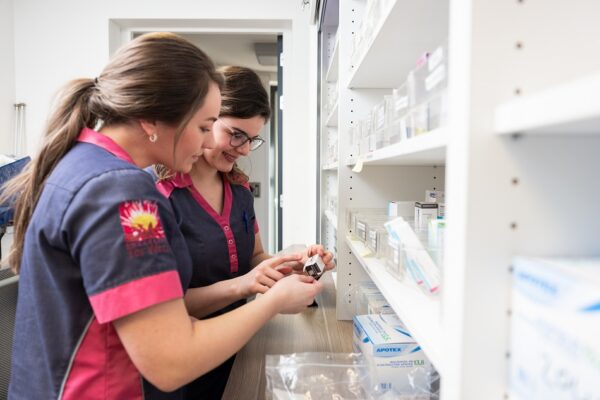 Medewerkers tijdens uitzoeken van medicatie